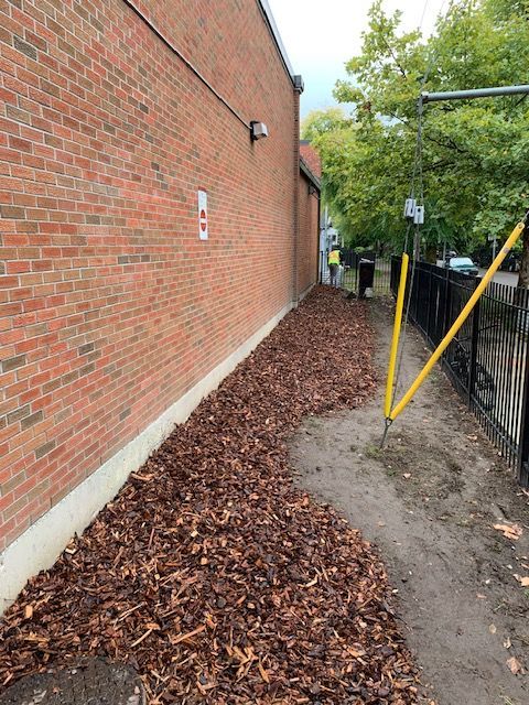 Cleared and mulched strip along the building
